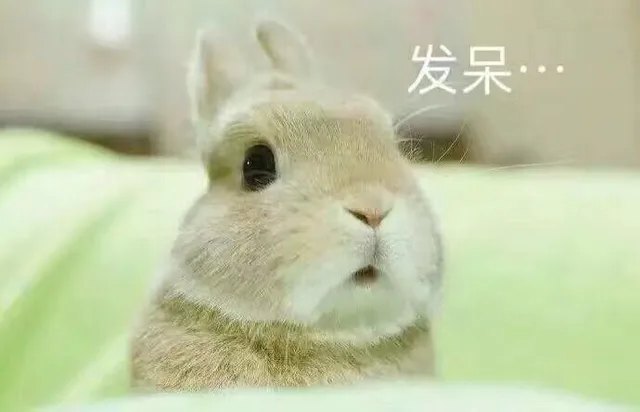 发呆...（发呆...）