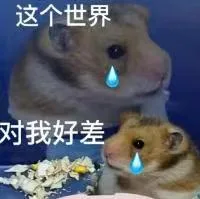 这个世界对我好差(鼠鼠表情包)（这个世界对我好差(鼠鼠表情包)）