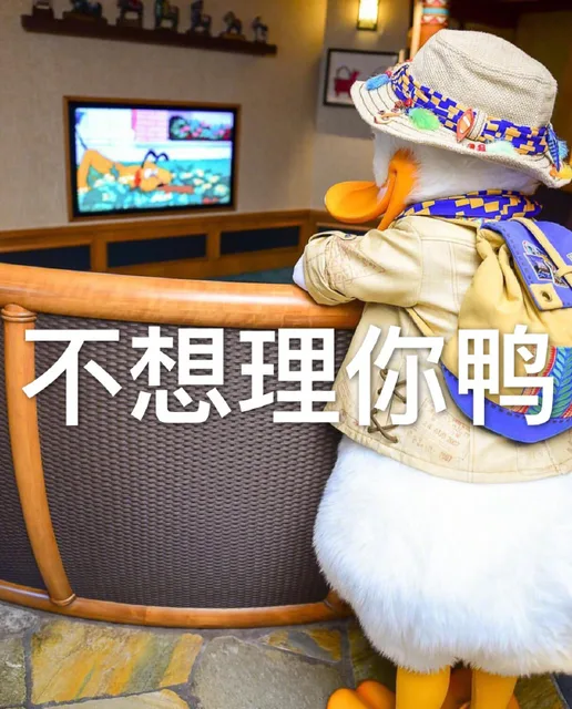 不想理你鸭（不想理你鸭）