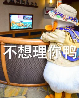 不想理你鸭