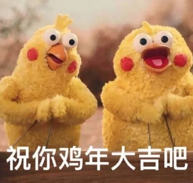 鹦鹉兄弟版的祝福祝你们鸡年大吉吧_鹦鹉兄弟