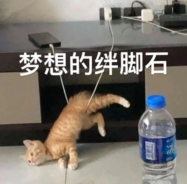 梦想的绊脚石（梦想的绊脚石）