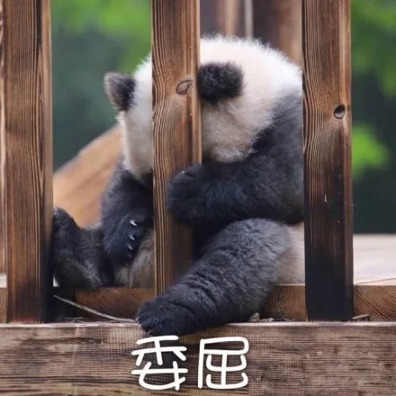 委屈（委屈）