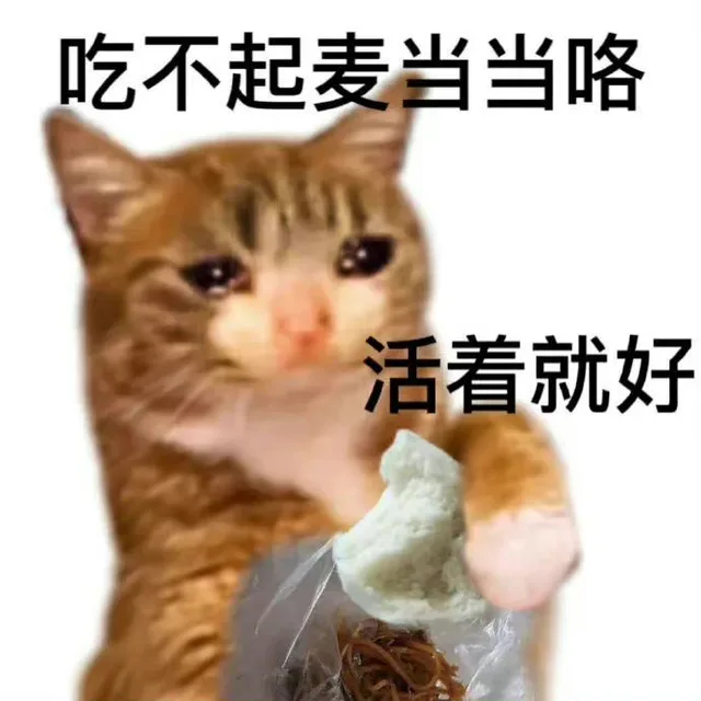 吃不起麦当当咯活着就好（吃不起麦当当咯活着就好）