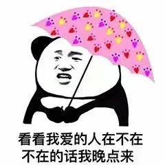 看看我爱的人在不在 不在的话我晚点来（熊猫头打伞）