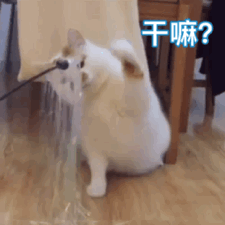 打你就完事