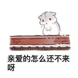 亲爱的怎么还不来呀