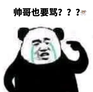 帅哥也要骂？