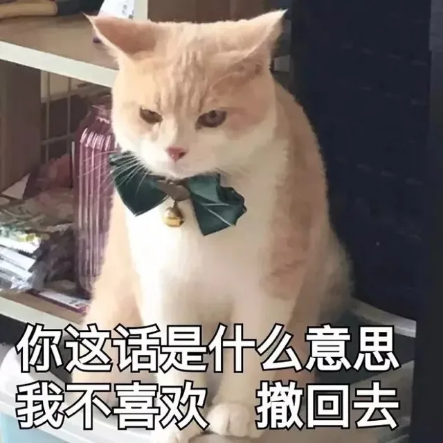 猫咪表情包第五弹