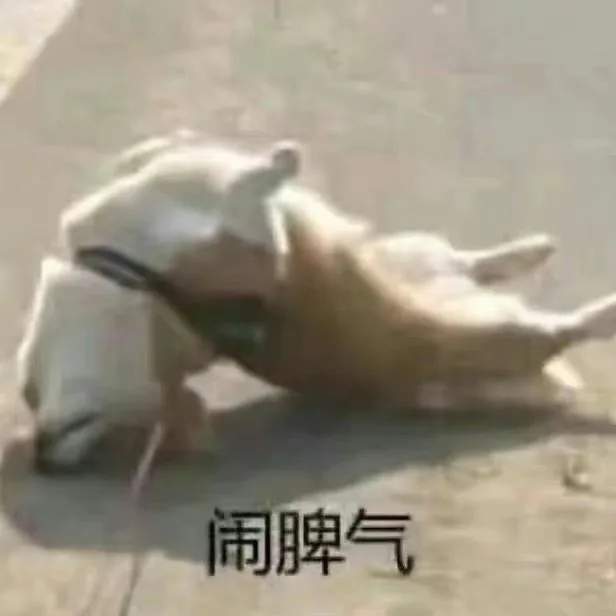 闹脾气（闹脾气）