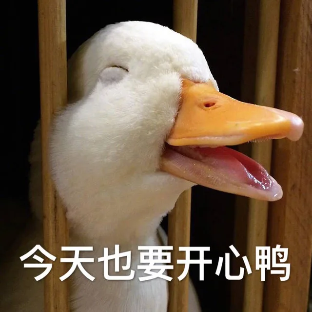 今天也要开心鸭（今天也要开心鸭）