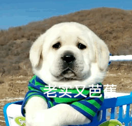 老买又芭蕉I（老买又芭蕉I）