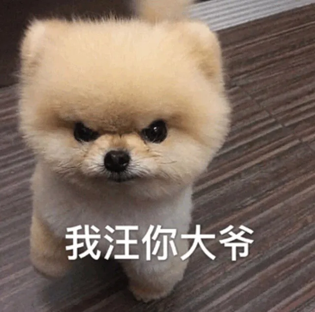 我汪你大爷（我汪你大爷）