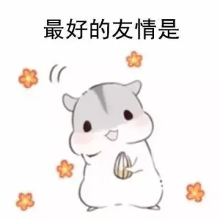 最好的友情是