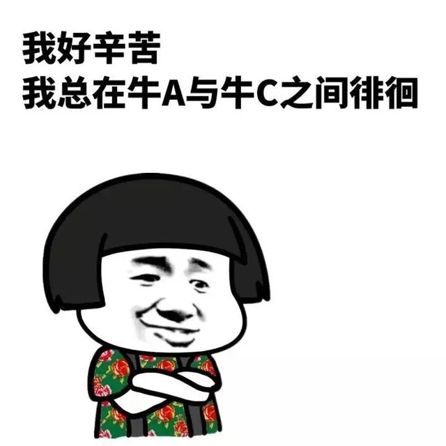 我好辛苦，我问题在牛A与牛C之间徘徊