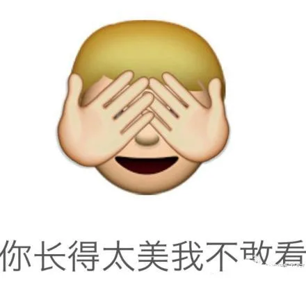 你长得太美我不敢看（你长得太美我不敢看）
