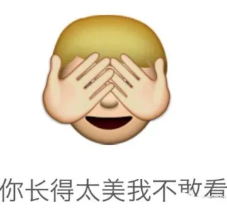 你长得太美我不敢看