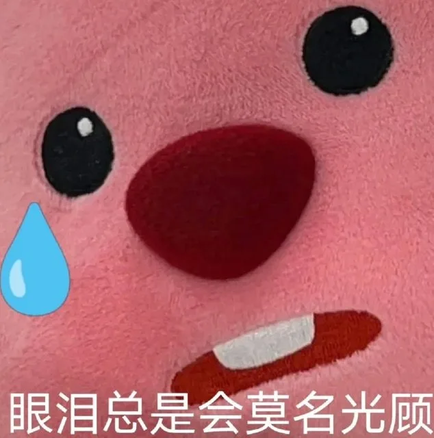 眼泪总是会莫名光顾（眼泪总是会莫名光顾）
