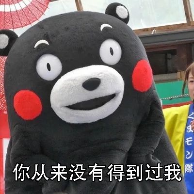 你从来没有得到过我