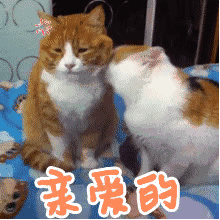 亲爱的 别生气了（亲爱的 别生气了）