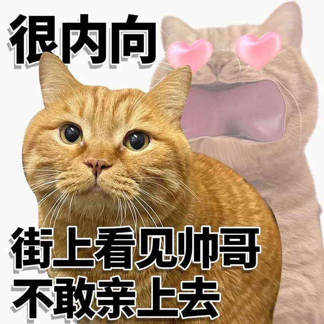 很内向街上看见帅哥不敢亲上去