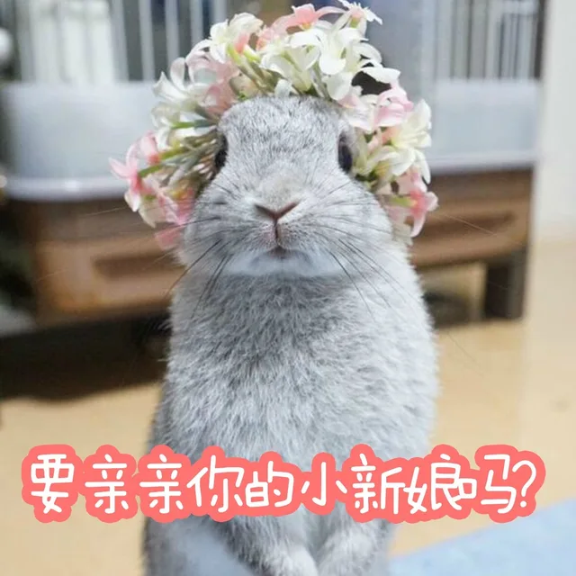 要亲亲你的小新娘马（要亲亲你的小新娘马）