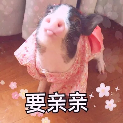 要亲亲