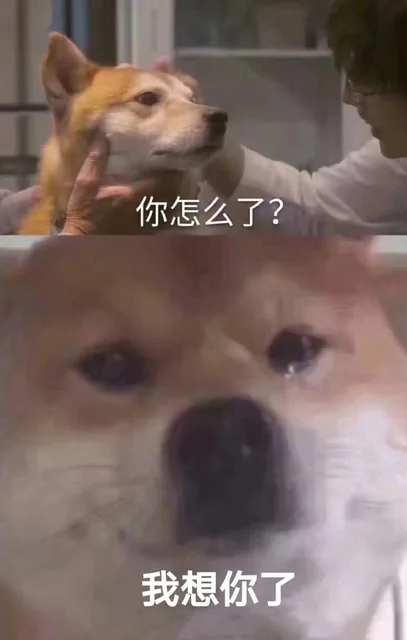 你怎么了？我想你了（你怎么了？我想你了）