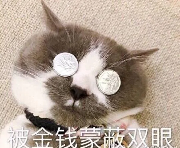 被金钱蒙蔽了双眼