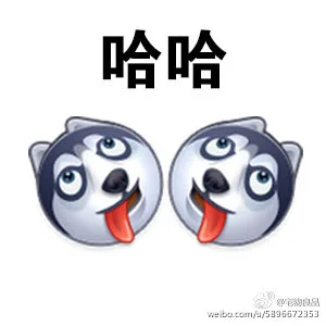 哈哈（哈哈）