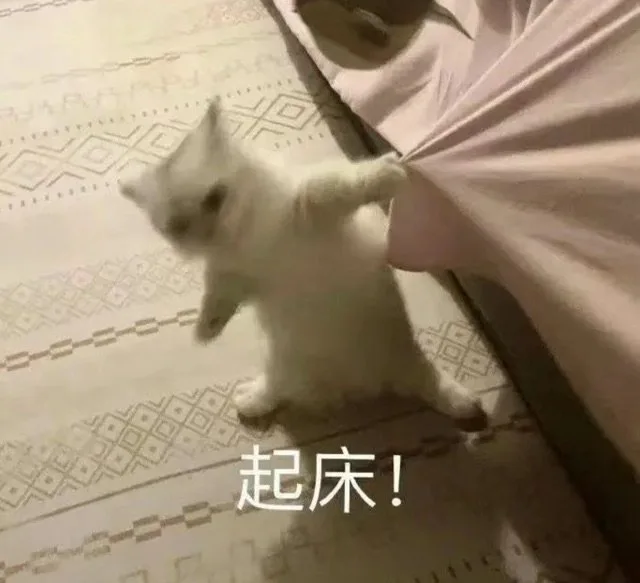 起床！（起床！）