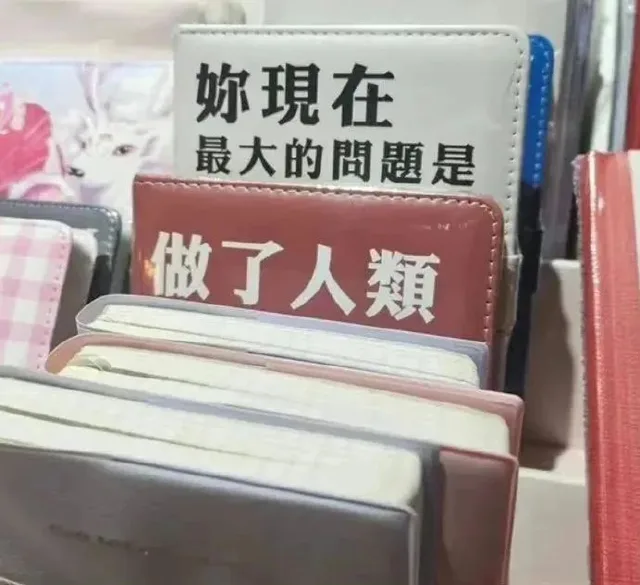 妳現在最大的間题是做了人類（妳現在最大的間题是做了人類）