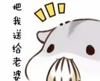 把我送给老婆（把我送给老婆）