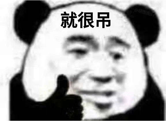 就很吊（熊猫头表情包）