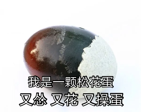 我是一颗松花蛋，又怂 又花 又操蛋（我是一颗松花蛋，又怂 又花 又操蛋）