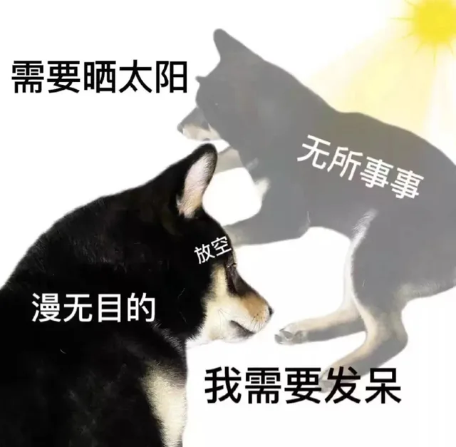 需要晒太阳无所事事放空漫无目的我需要发呆（需要晒太阳无所事事放空漫无目的我需要发呆）