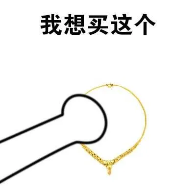 我想买这个金项链