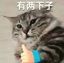 有两下子（有两下子）