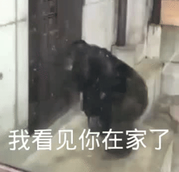 快点开门