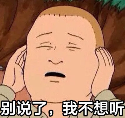 被说了，我不想听（被说了，我不想听）