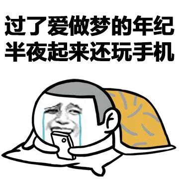 过了爱做梦的年纪 半夜起来还玩手机（过了爱做梦的年纪 半夜起来还玩手机）