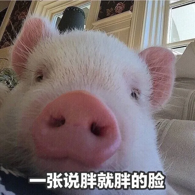 一张说胖就胖的脸（一张说胖就胖的脸）