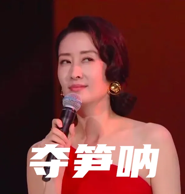 夺笋呐（刘敏涛表情包）（夺笋呐（刘敏涛表情包））