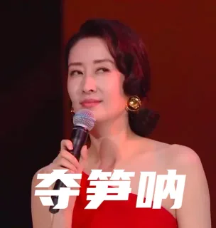 夺笋呐（刘敏涛表情包）