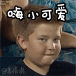 嗨，小可爱