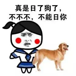 真是日了狗了，不不不，不能日你