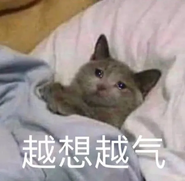 越想越气（越想越气）