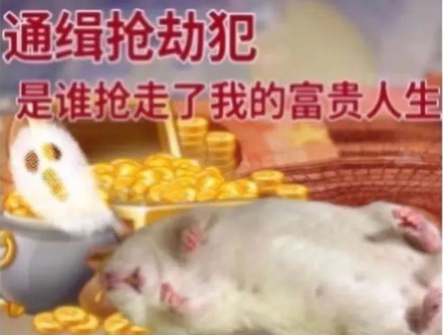 通缉抢劫犯是谁抢走了我的富贵人生（通缉抢劫犯是谁抢走了我的富贵人生）