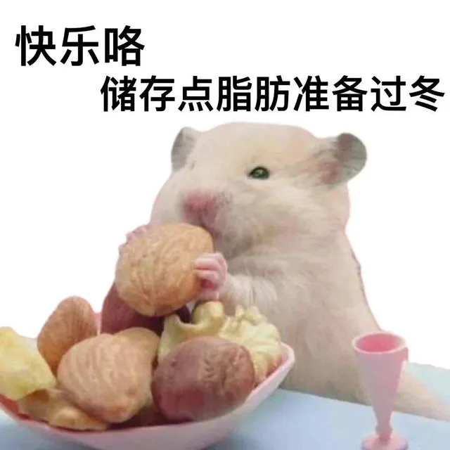 快乐咯储存点脂肪准备过冬