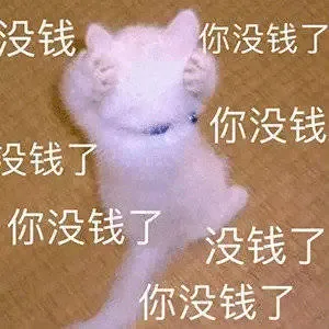 没钱你没钱了你没钱没钱了你没钱了没钱了你没钱了